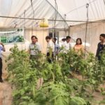 តំណាងក្រុមហ៊ុន២ អញ្ជើញមកពិនិត្យមើល កសិដ្ឋានពិសោធន៍ស្រាវជ្រាវលើដំណាំបន្លែ របស់វិទ្យាស្ថានប្រាយហូម