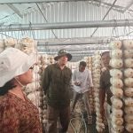 ប្រធាន​មន្ទីរ​កសិ​កម្ម រុក្ខា​ប្រមា​ញ់​និង​នេសាទ​ខេត្តកំពង់​ឆ្នាំង ជំរុញ​ឲ្យ​កសិករ​​បន្ត​បណ្តុះ​​ផ្ស...