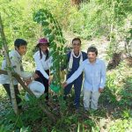 កូនឈេីប្រណិតនិងកូនឈេីលម្អ ប្រមាណជាង៣០០ដេីម ត្រូវបានដាំក្នុងតំបន់ទេសចរណ៍ទឹកធ្លាក់អន្លង...