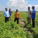 លោក អម សុភា ចុះពិនិត្យអំពីវឌ្ឍនភាពនៃការអនុវត្តគម្រោងឡាសិត២ នៅឃុំចំនួន៣ ក្នុងស្រុកសាមគ្គីមាន...