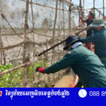 បទល្មើសនេសាទជាង៣០កន្លែងត្រូវបានកម្លាំងសមត្ថកិច្ចចម្រុះធ្វើការរុះរើបំផ្លាញចោលនៅក្នុង...