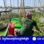 បទ​ល្មើស​នេ​សាទ​នៅ​ក្នុង​ខេត្ត​កំពង់​ឆ្នាំង​ មាន​ការ​ថយ​ចុះ​បន្ទាប់​សមត្ថកិច្ច​ចុះ​បង្ក្រាប​រាល់​ថ្ង...