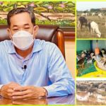 កា​រ​ចិញ្ចឹម​​សត្វ​​នៅ​​ក្នុង​​ខេត្ត​​កំពង់​​ឆ្នាំង​​ មាន​​ការ​​រីក​​​ចម្រើន​​ជាង​​មុន​​
