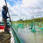 បទ​ល្មើស​នេ​សាទ​របាំង​ស្បៃ​មុង​២៥​កន្លែង​ប្រវែង​ ៨០០​ម៉ែត្រ​ ត្រូវ​កម្លាំង​ចម្រុះ​បង្ក្រាប​និង​រុះ​រ...