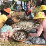 ដែនទឹកសាបក្នុងខេត្តកំពង់ឆ្នាំង អនុញ្ញាតឲ្យនេសាទឡើងវិញចាប់ពីថ្ងៃនេះ