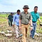 ភ្លៀងកក់ខែមួយមេលិចដំណាំប្រជាពលរដ្ឋនៅភូមិកោះក្របី ក្នុងសង្កាត់ផ្សារឆ្នាំង អភិបាលខេ...