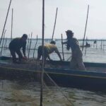 កម្លាំង​ជលផល បន្តចុះ​បង្ក្រាប​បទល្មើស​នេសាទ របាំង​ស្បៃមុងចំនួន៧កន្លែង នៅក្នុងស្រុក​កំពង់លែង