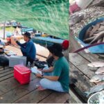 រកមូលហេតុឃើញហើយ ករណីត្រីចិញ្ចឹមតាមបែរាប់រយតោនបានងាប់ នៅកំពង់ឆ្នាំង