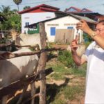 រយះ​ពេល​មួយ​​សប្តាហ៍​ពេទ្យ​សត្វ​កំពង់​ឆ្នាំង​ ចាក់​វ៉ាក់​សាំង​ ការពារ​ជំងឺ​អុត​ក្តាម​ និង​សា​រ​ទឹ​ក​...