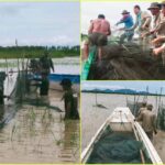 រយះពេល២ថ្ងៃកម្លាំងសមត្ថកិច្ចចម្រុះចុះបង្ក្រាប និងរុះរើបំផ្លាញចោលបទល្មើសរបាំងស្បៃមុ...