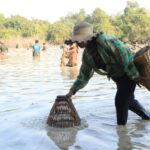 ប្រជា​ពល​រដ្ឋ​នៅ​ភូមិ​បង្កោង​ ខេត្ត​សៀមរាប​ គ្រោង​ប្រារព្ធ​ពិធី​ចាប់​ត្រី​រួម​គ្នា​ ក្នុង​បឹង​អភិរក្...