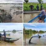 ២ថ្ងៃកម្លាំងសមត្ថកិច្ចចម្រុះ ខេត្តកំពង់ឆ្នាំង ចុះរុះរើបំផ្លាញចោលរបាំងស្បៃមុង១៦កន្លែ...