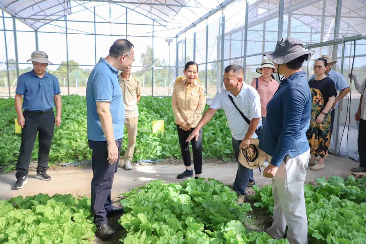 ប្រតិភូជំនាញខាងកសិកម្មខេត្តក្វាងស៊ីប្រទេសចិន ធ្វើទស្សនកិច្ចមូលដ្ឋានគម្រោងកិច្ចសហប្រ តិបត្តិការបច្ចេកវិទ្យាកសិកម្មទំនើប នៅខេត្តកំ ពង់ឆ្នាំង